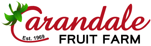 Logo idea 13 outlines