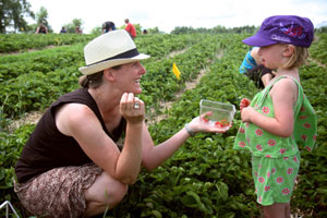 home farm experience